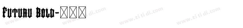 Futuru Bold字体转换
